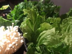 -辣伍鲜毛肚老火锅(元一店)
