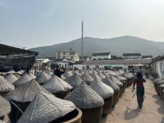 -苏州市吴中区光福窑上花果蜜饯厂