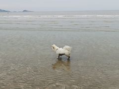 -嵊泗基湖沙滩