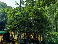 -张鸟园农家乐(张鸟园店)
