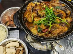 麻辣鲶鱼煲-川香煲(茅台路店)