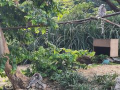 -清迈夜间动物园