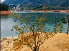 -广州市流溪河国家森林公园