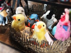 -陕西自然博物馆