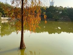 -人民公园(罗湖区)