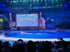 -华夏文旅海洋公园