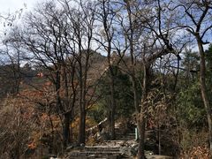 -北京鹫峰国家森林公园