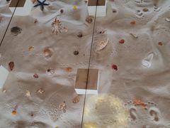 -青岛贝壳博物馆