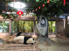 -海南热带野生动植物园