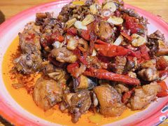 -柴窝堡22号辣子鸡·传承新疆菜