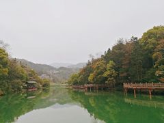 -洪崖丹井