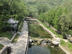 -白水寺森林公园