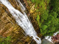 -九龙江国家森林公园