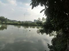 android_upload_pic-溪悦渔庄(九龙湖店)