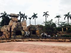 -美的鹭湖探索王国