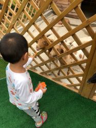 -萌宠亲子动物乐园(槐房万达店)