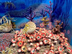 -国家自然博物馆