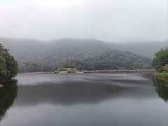 -桃花岭景区