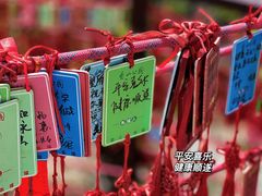 -香山公园