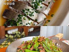 -鸽舞笙平金牌烧鸽子·融合菜(鲁谷店)