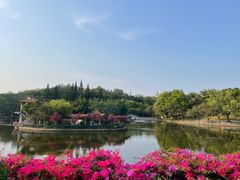 -深圳龙潭公园