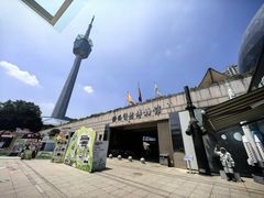 -陕西自然博物馆