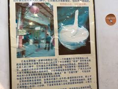 -沙湾姜埋奶(兴新包店)