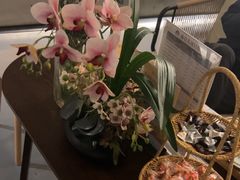 -施奈儿.洗头頭療.按摩SPA.采耳(上梅林店)