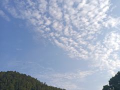 -南沙蒲洲花园