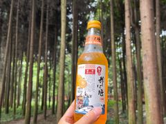 -都江堰景区