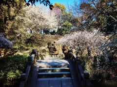 -北寺塔
