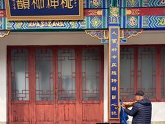 -桃花堤公园