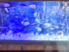 -华夏文旅西安度假区