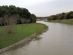 -上海海湾国家森林公园