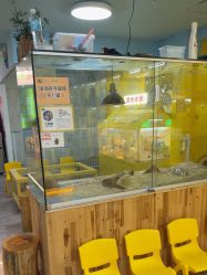 -神奇动物撸宠馆·羊驼·小浣熊·异宠(豫园店)