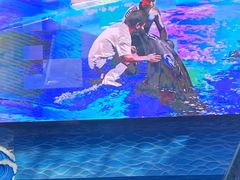-海合安成都极地海洋公园