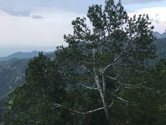 -秦岭天竺山景区