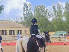 -北京群众马术培训基地