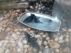 -上海昆虫博物馆