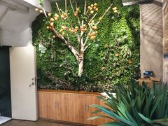 -山楂树融合菜餐厅