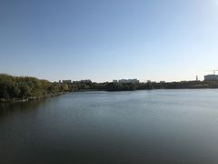 -大兴滨河森林公园