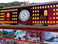 -参仙谷生态旅游度假区