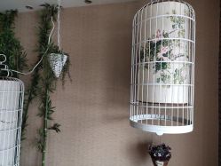 -威思丽高温瑜伽会馆