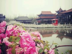 -大悲禅寺