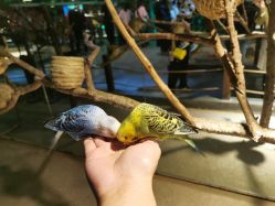 -酷嗒动物文化乐园(cutezoo西溪乐天城店)