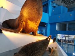 -泉城欧乐堡海洋极地世界