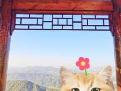 -黄埔油麻山森林公园