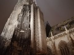 -斯蒂芬主教座堂(Stephansdom)