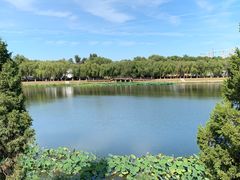 -素心小筑(后沙裕镇店)