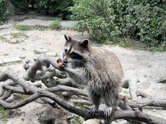 -宁波野生动物园